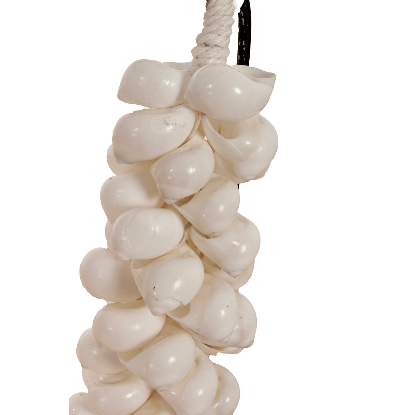 J65 Small Shell Necklace