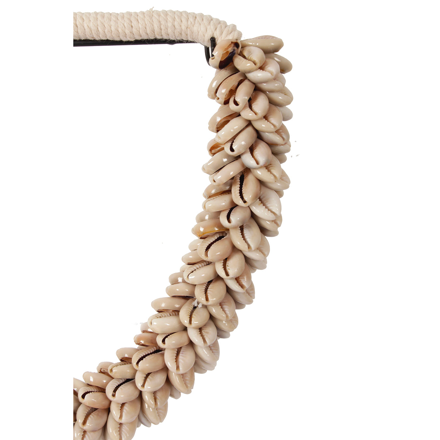 J81 Small Shell Necklace On Stand