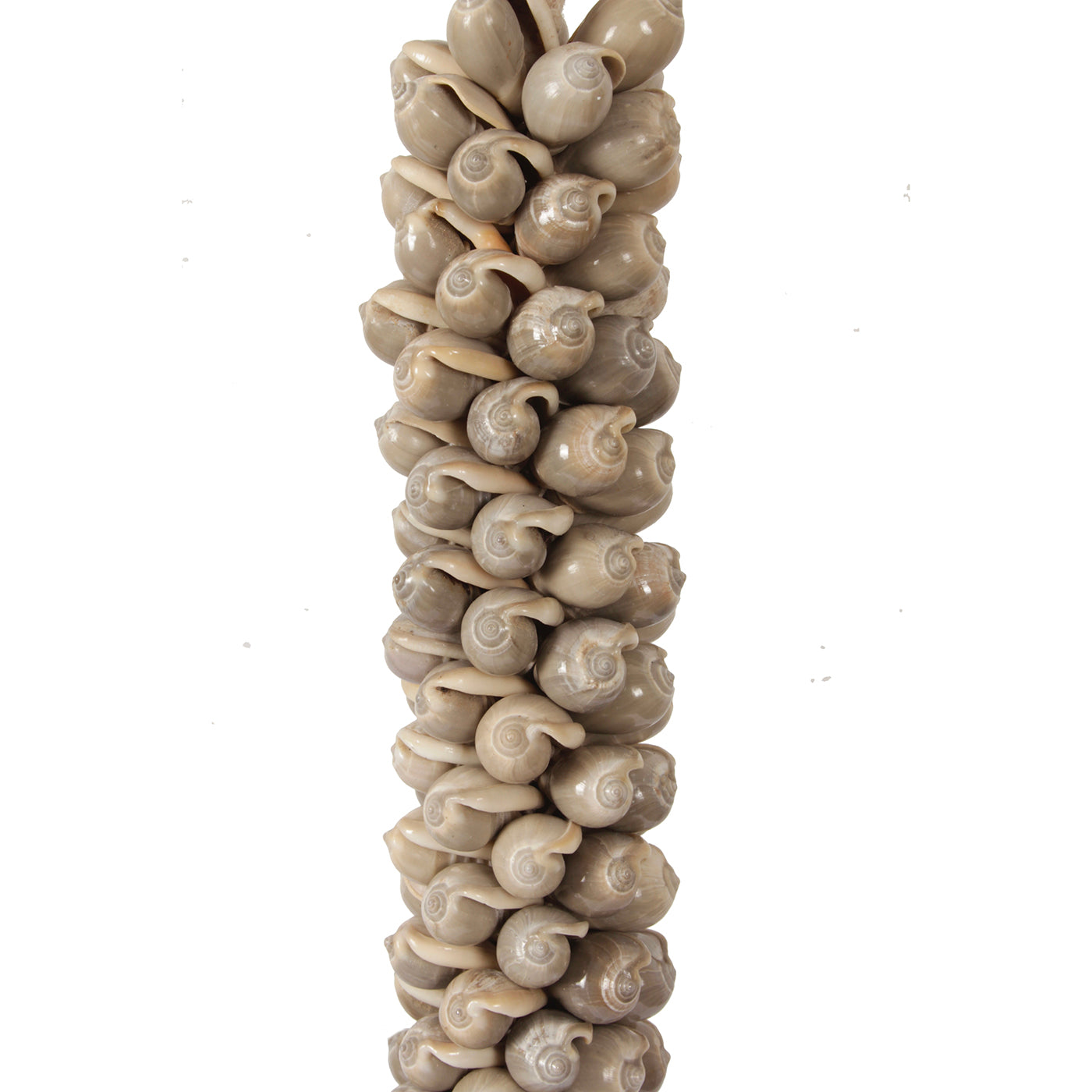 J78 Shell Necklace On Stand