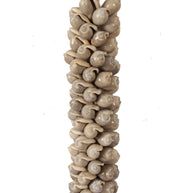 J78 Shell Necklace On Stand
