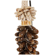 J62 Shell Necklace