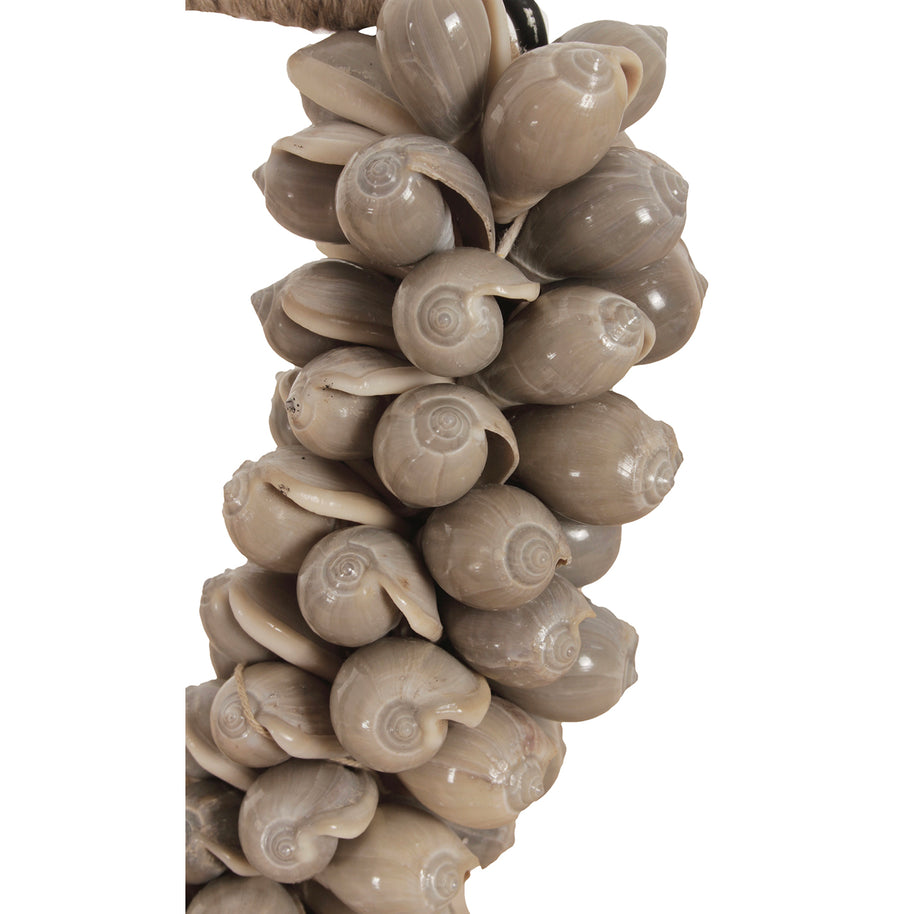 J66 Small Shell Necklace
