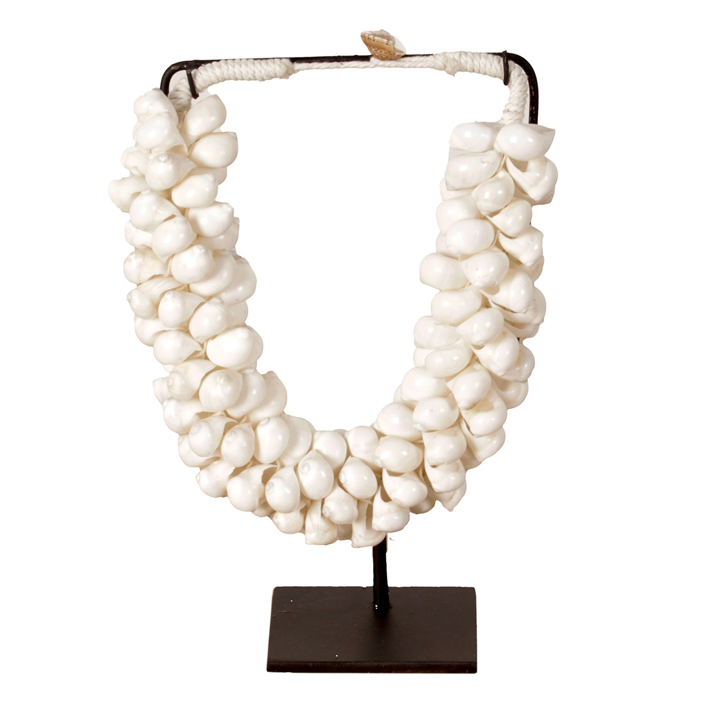 J65 Small Shell Necklace