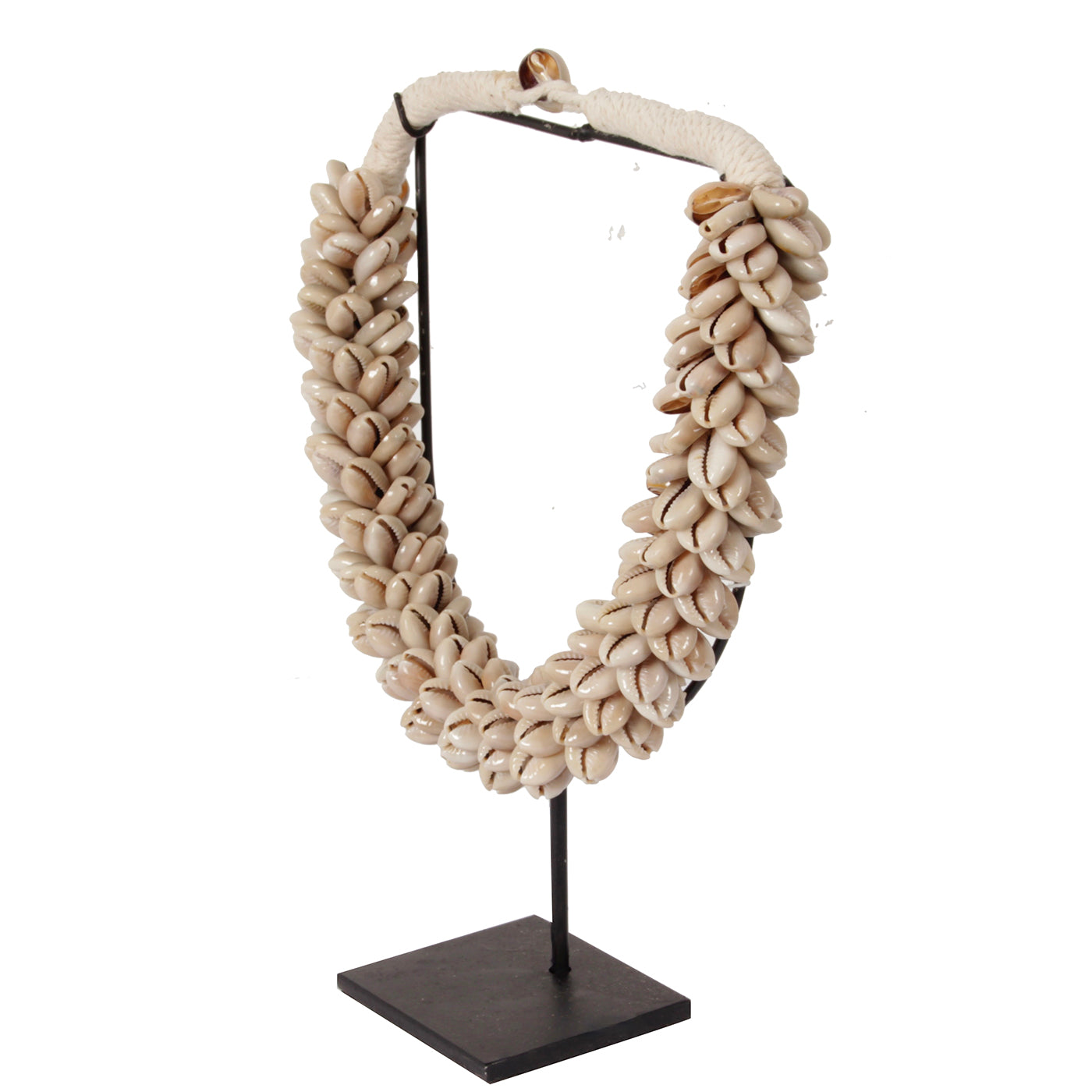 J81 Small Shell Necklace On Stand