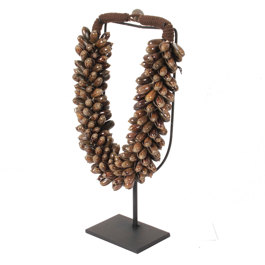 J84 Small Shell Necklace On Stand