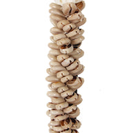 J80 Shell Necklace On Stand