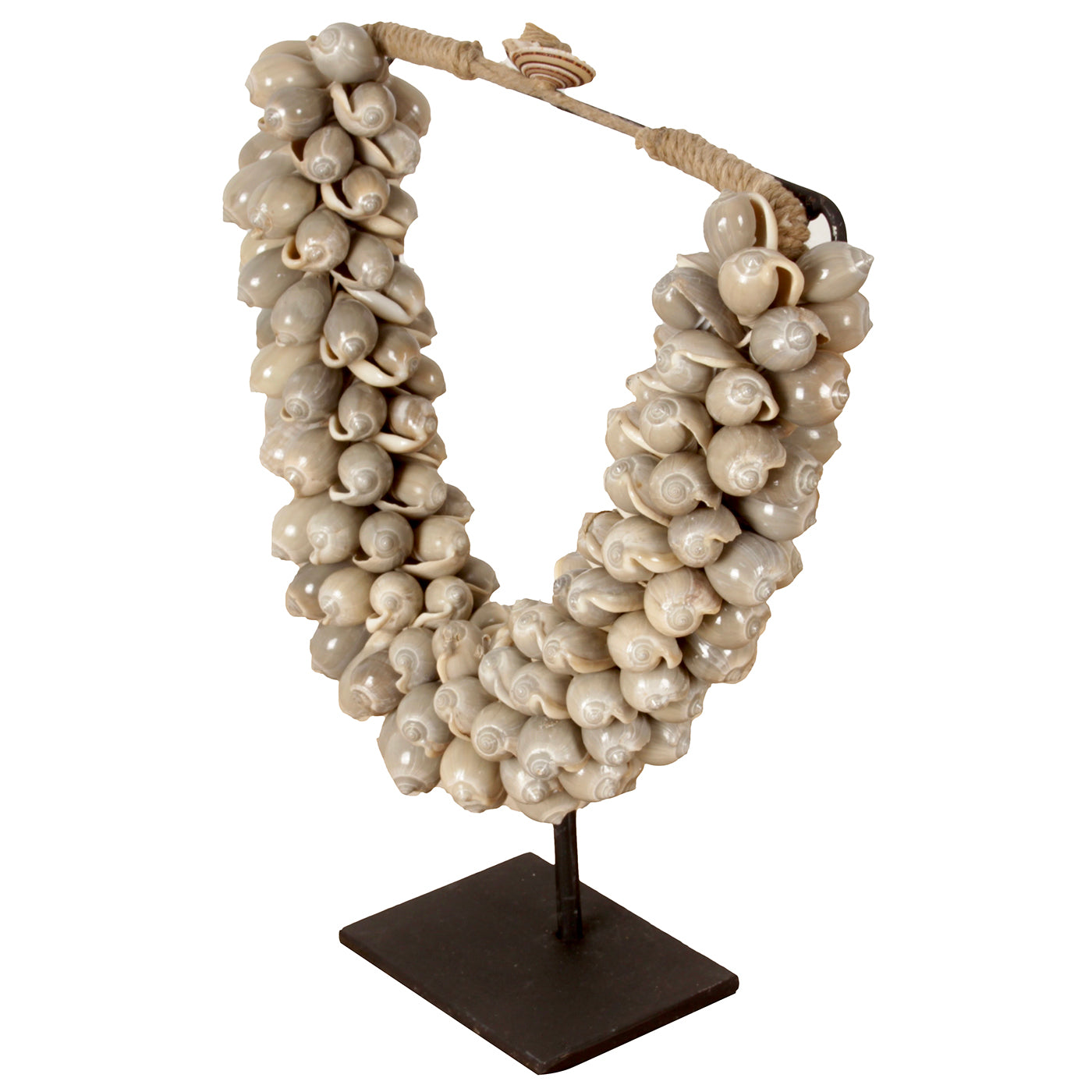 J66 Small Shell Necklace