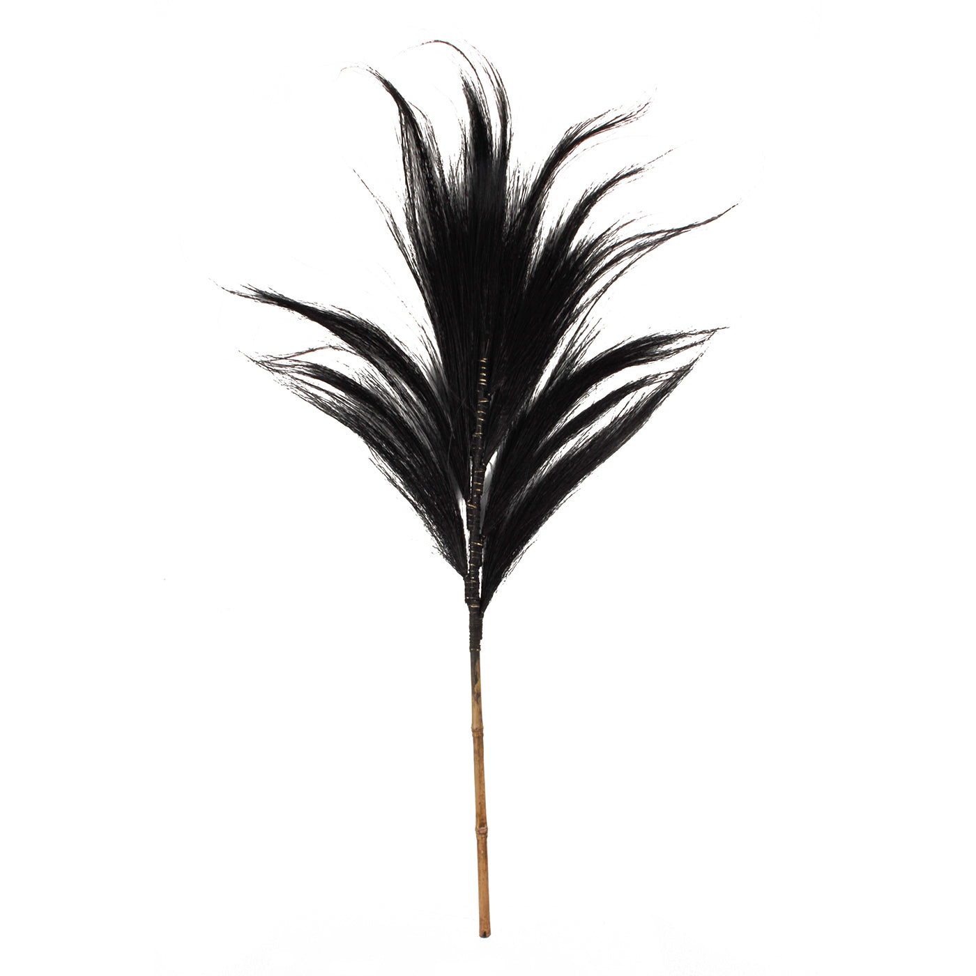 J25 Mini Hay Plume Black
