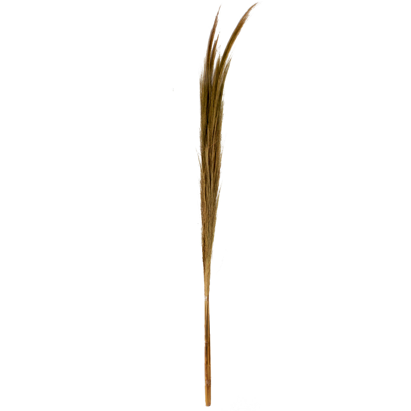 J12 Small Hay Bundle Natural