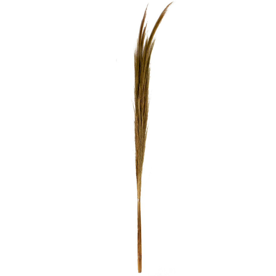 J12 Small Hay Bundle Natural