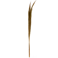 J12 Small Hay Bundle Natural