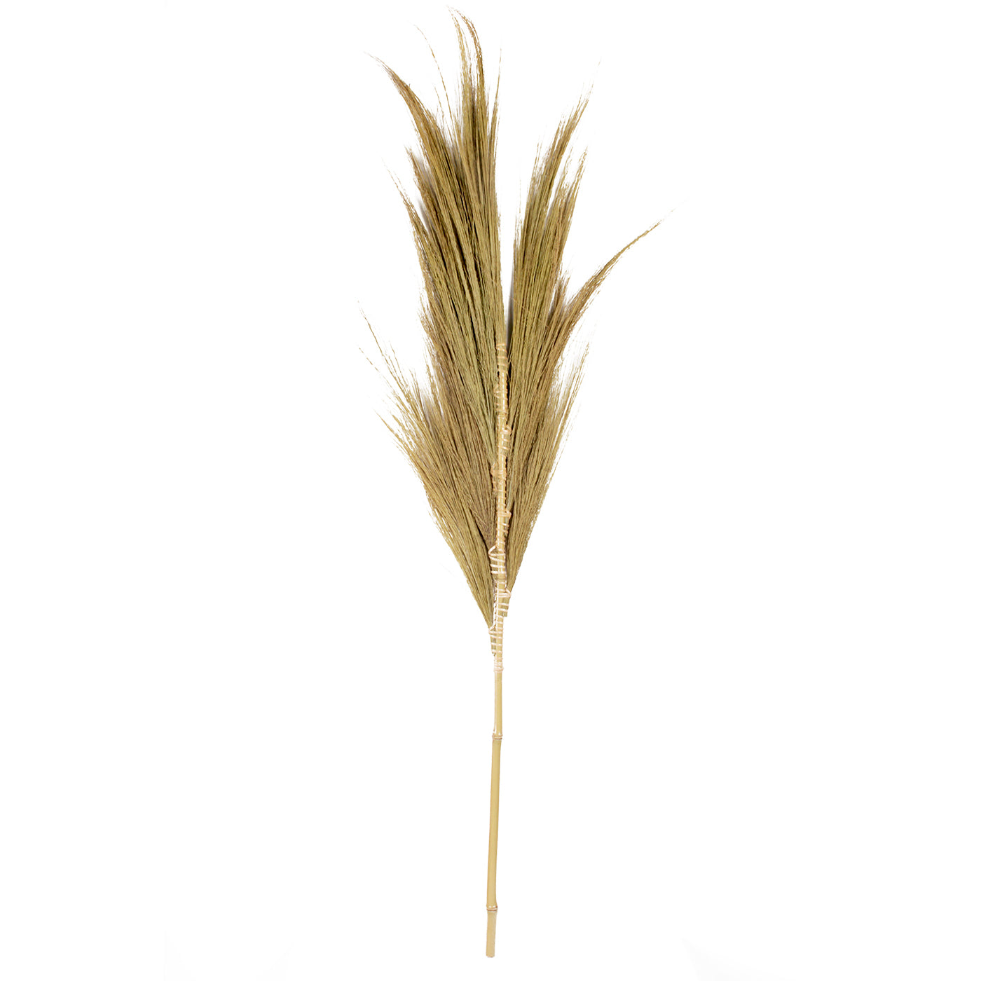 J24 Mini Hay Plume Natural