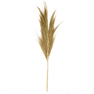 J24 Mini Hay Plume Natural
