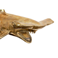Brass Hammer Shark On Stand XXL