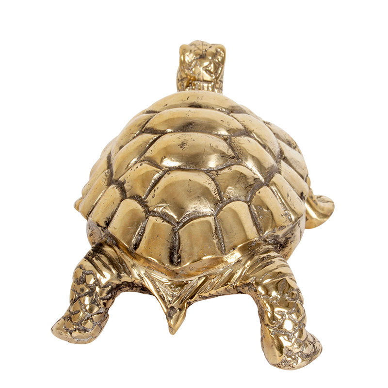 Brass Tortoise S