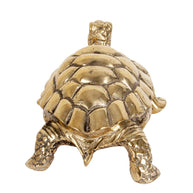 Brass Tortoise S
