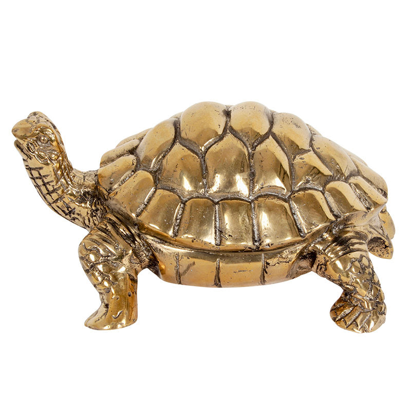 Brass Tortoise S