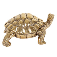Brass Tortoise S