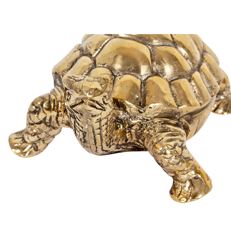 Brass Tortoise S