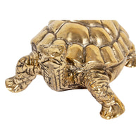 Brass Tortoise S