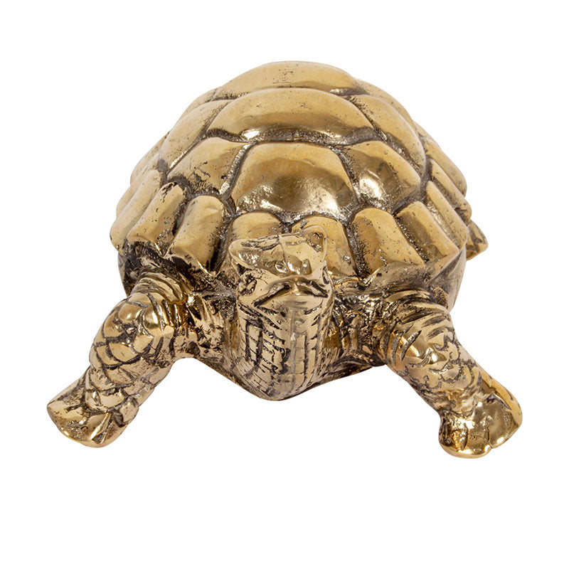 Brass Tortoise S