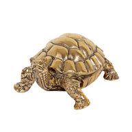 Brass Tortoise S