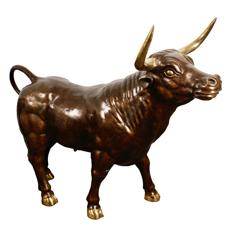 Brass Bull XXL