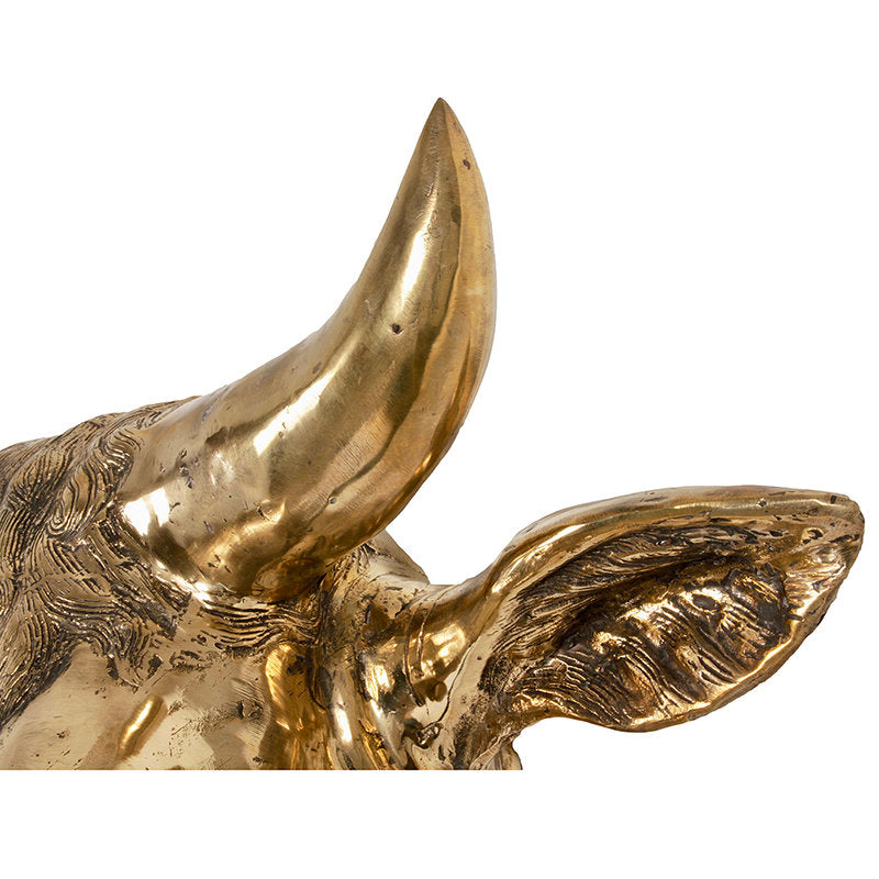 Brass Buffalo Head