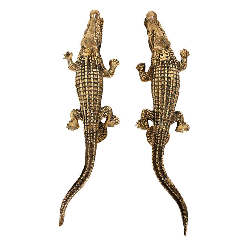 Brass Door Handle Crocodile Set of 2