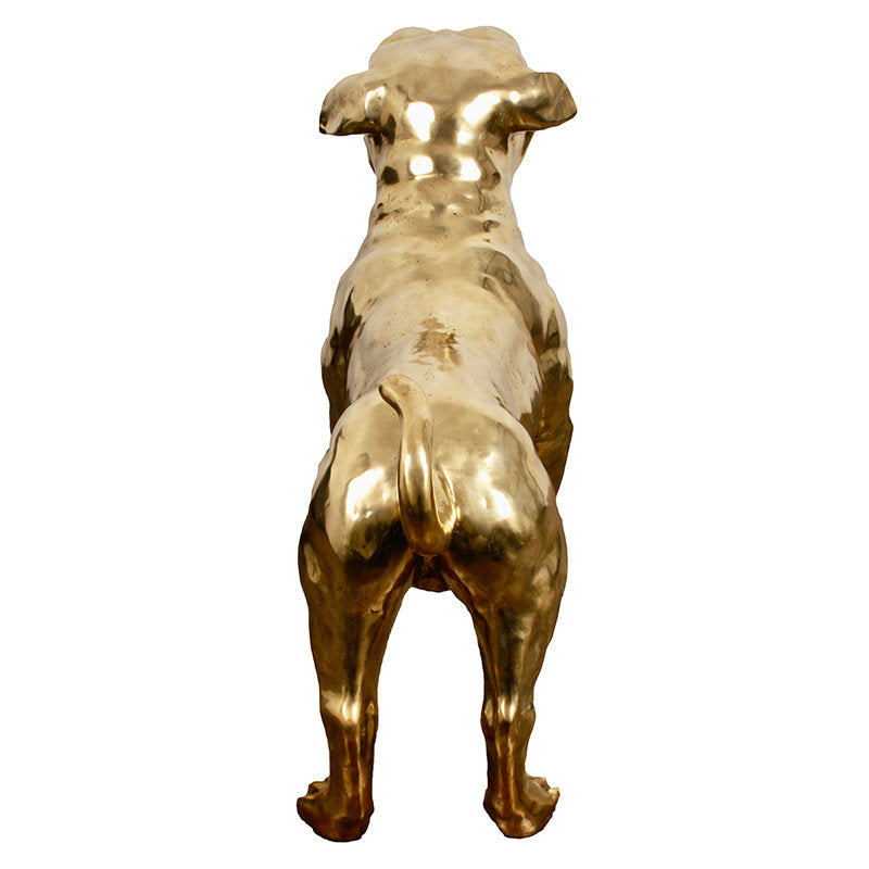 Brass Dog XL