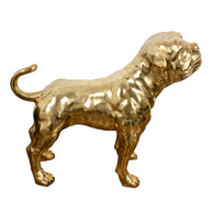 Brass Dog XL