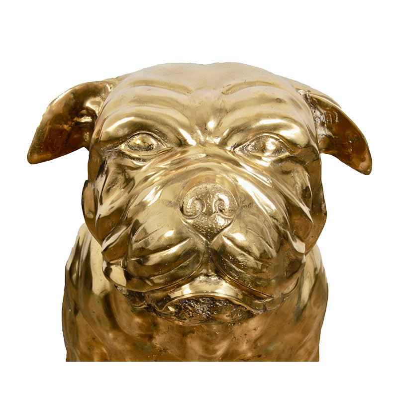 Brass Dog XL
