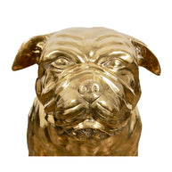 Brass Dog XL