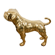 Brass Dog XL