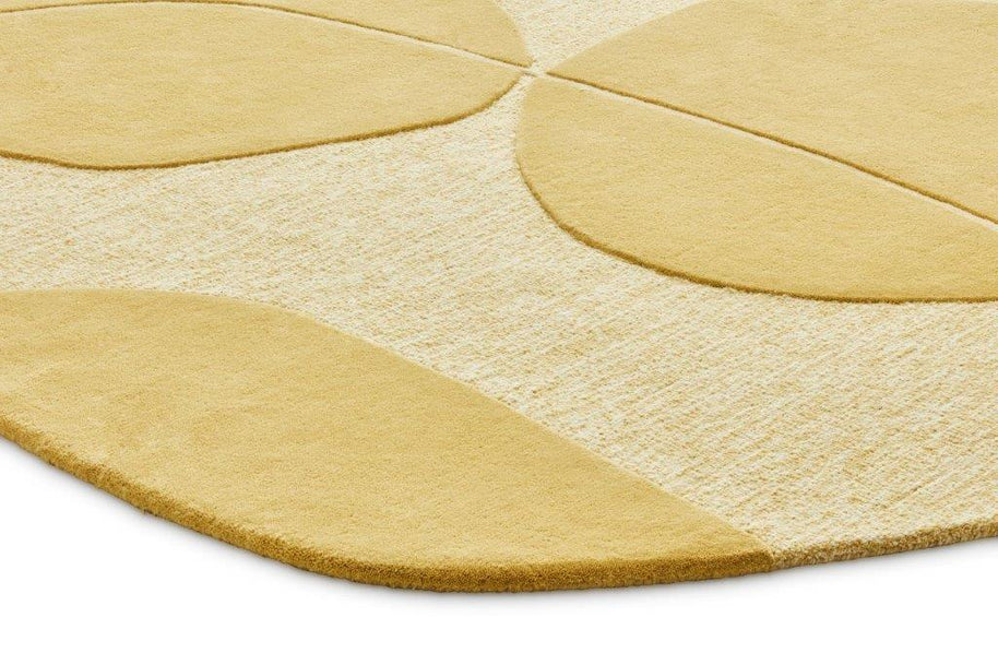 Bolsena Meer Wilde Wonder 250x225