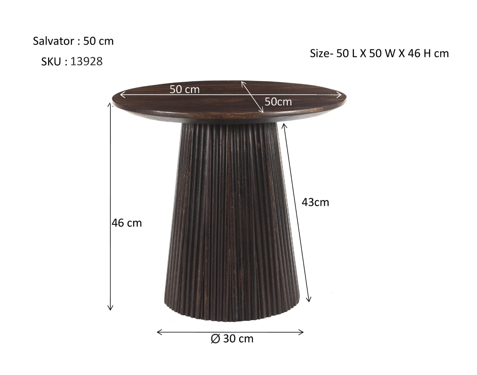 Salvator Walnoot 50 cm