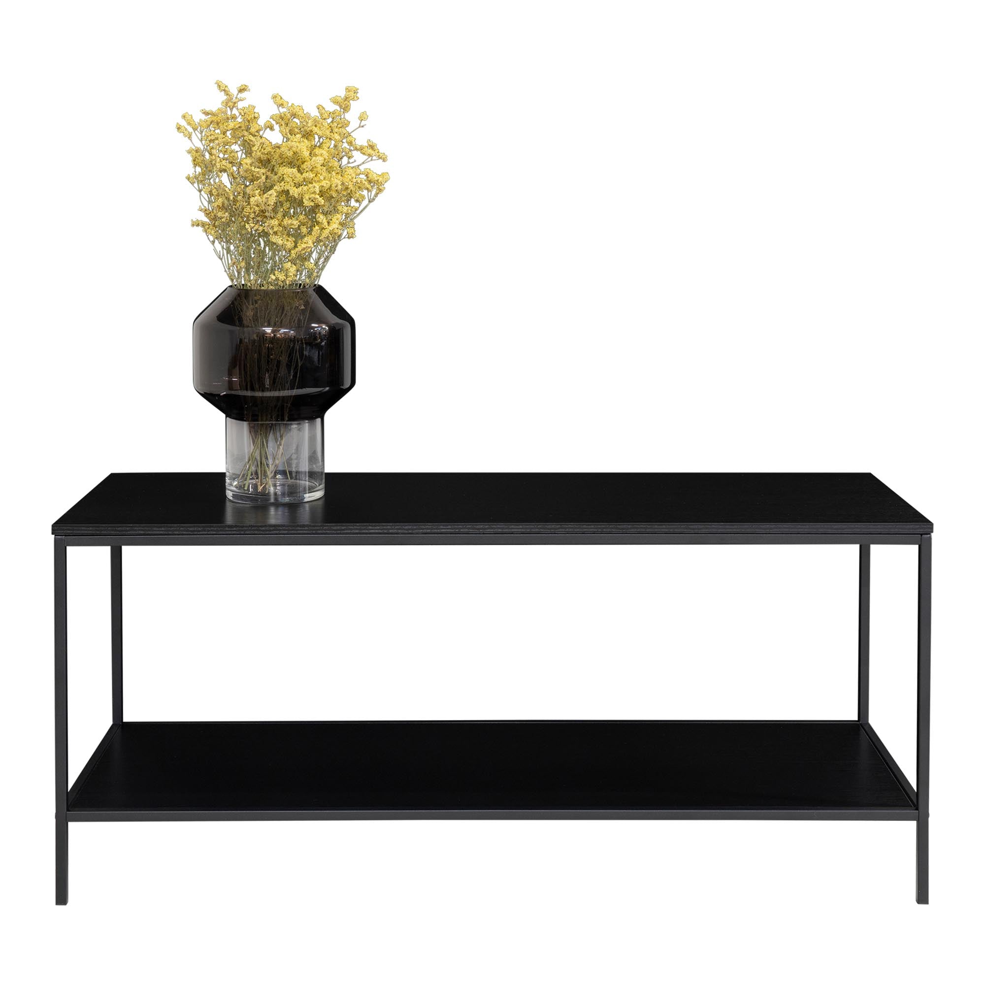Vita TV-stand - TV-stand, 2 planken, zwart, zwart frame 100x36x45 cm
