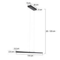 Minimalistische zwarte hanglamp Danske 2745ZW 2000 lumen