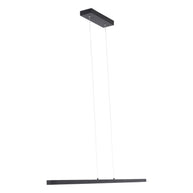 Minimalistische zwarte hanglamp Danske 2745ZW 2000 lumen