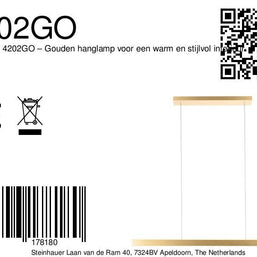 BrightLine 4202GO – Gouden hanglamp voor een warm en stijlvol interieur
