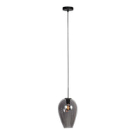 Hanglamp Drovia 4289ZW met gerookt glas, warme blikvanger