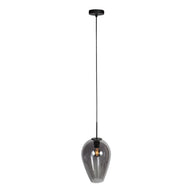 Hanglamp Drovia 4289ZW met gerookt glas, warme blikvanger
