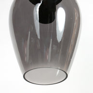 Hanglamp Drovia 4290ZW met rookglas, stijlvol compact ontwerp