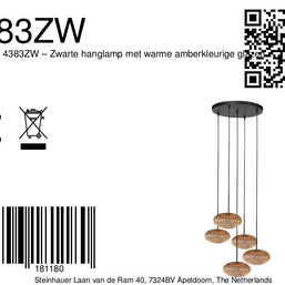 Hanglamp Aurelio 4383ZW – 5-lichts armatuur met ufo-glas