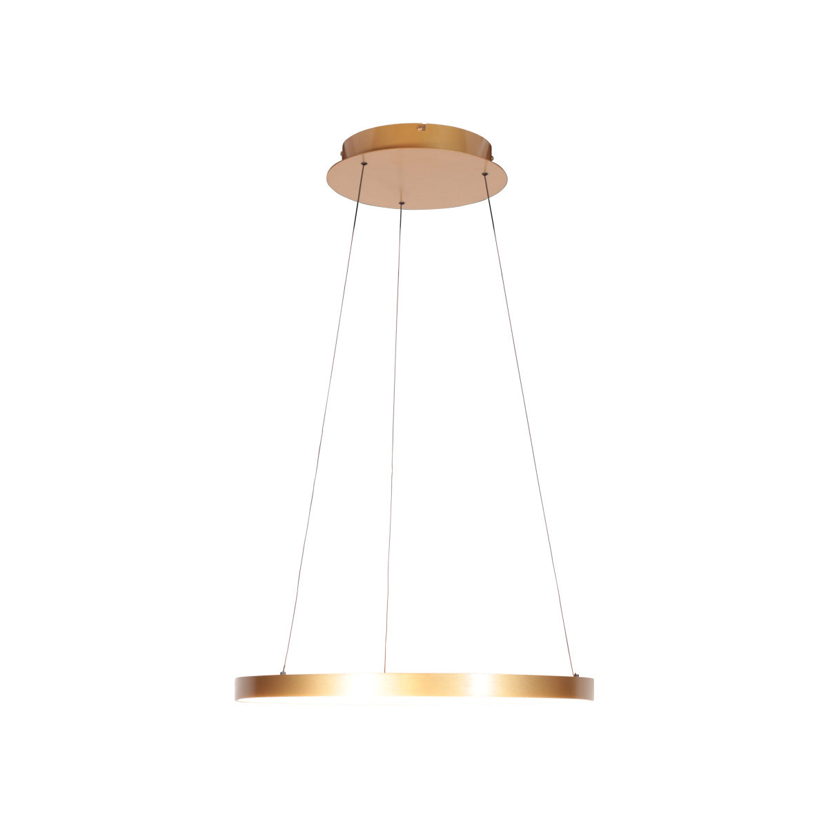 Gouden hanglamp Ringlede 4612GO, met kabellift