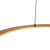 Gouden hanglamp Ringlede 4612GO, met kabellift