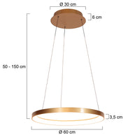Gouden hanglamp Ringlede 4612GO, met kabellift