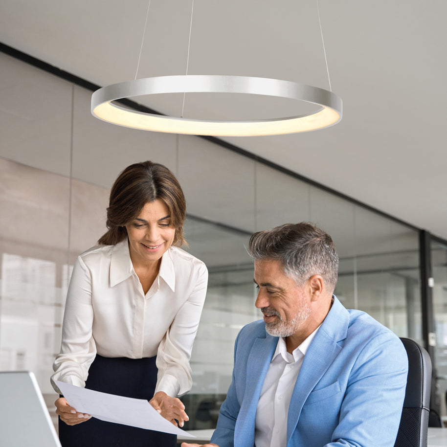 Stalen hanglamp Ringlede 4612ST met kabelhefsysteem