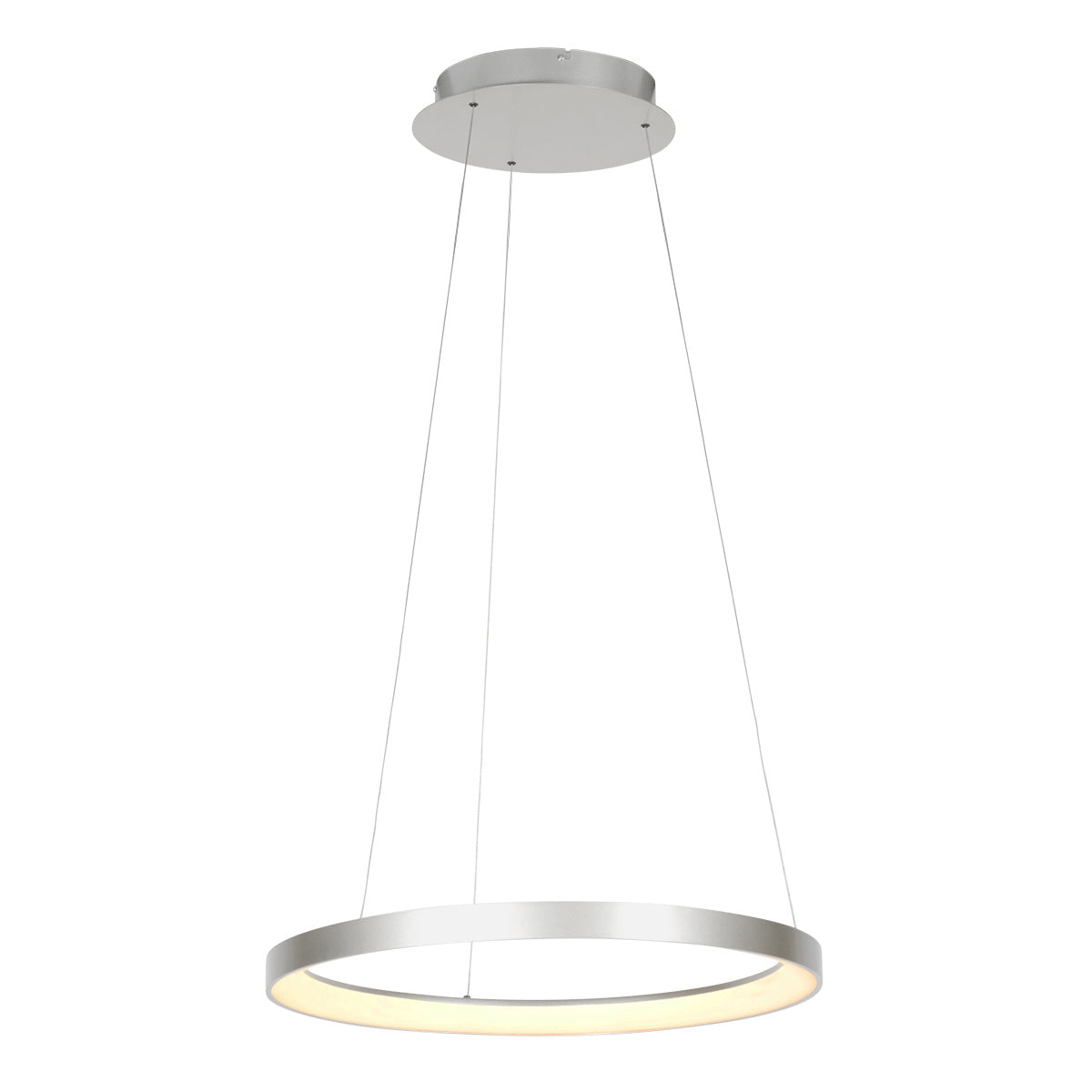 Stalen hanglamp Ringlede 4612ST met kabelhefsysteem