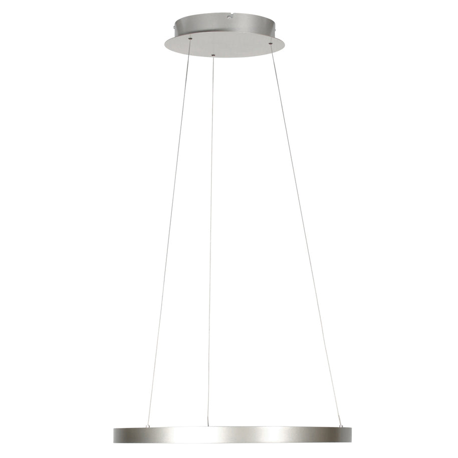 Stalen hanglamp Ringlede 4612ST met kabelhefsysteem